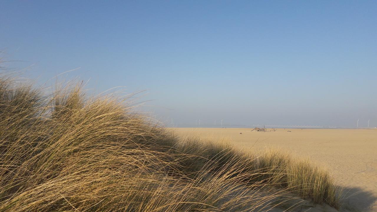 Vakantiehuizen Hofstede Elzenoord Vrouwenpolder Exteriör bild